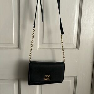 small Steve madden purse
